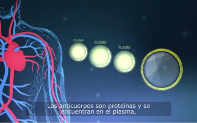 Avanzamos en el desarrollo de un medicamento para tratar a pacientes con COVID-19