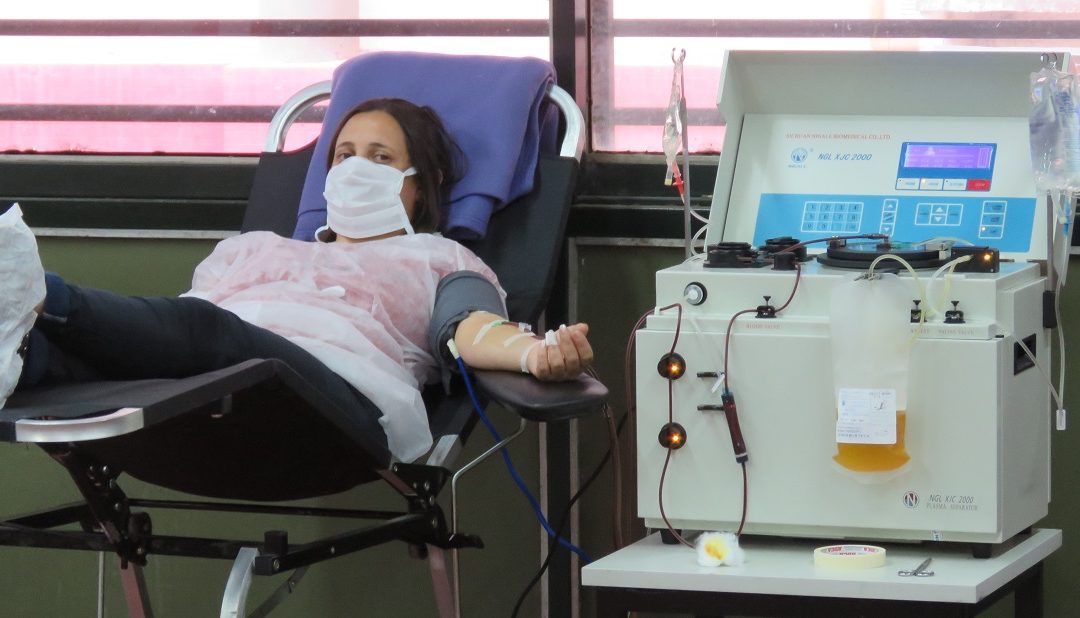 Plasma de pacientes recuperados de COVID-19: podrán donar las mujeres que tuvieron gestaciones
