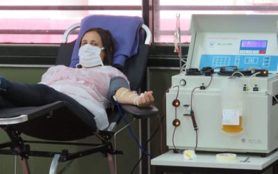 Plasma de pacientes recuperados de COVID-19: podrán donar las mujeres que tuvieron gestaciones